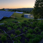 10 Passive Income Ideas That Actually Work